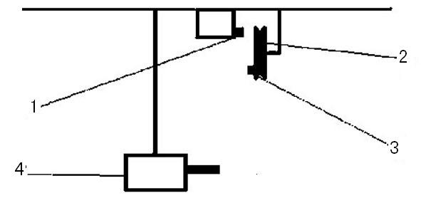 111.jpg